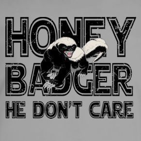 Honey Badger He Dont Care Funny Humor Dont Tee T Shirt  
