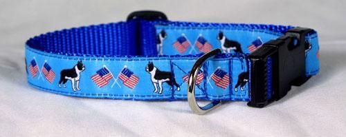 Designer Boston Terrier Dog Collar BLUE Med.Made in USA  